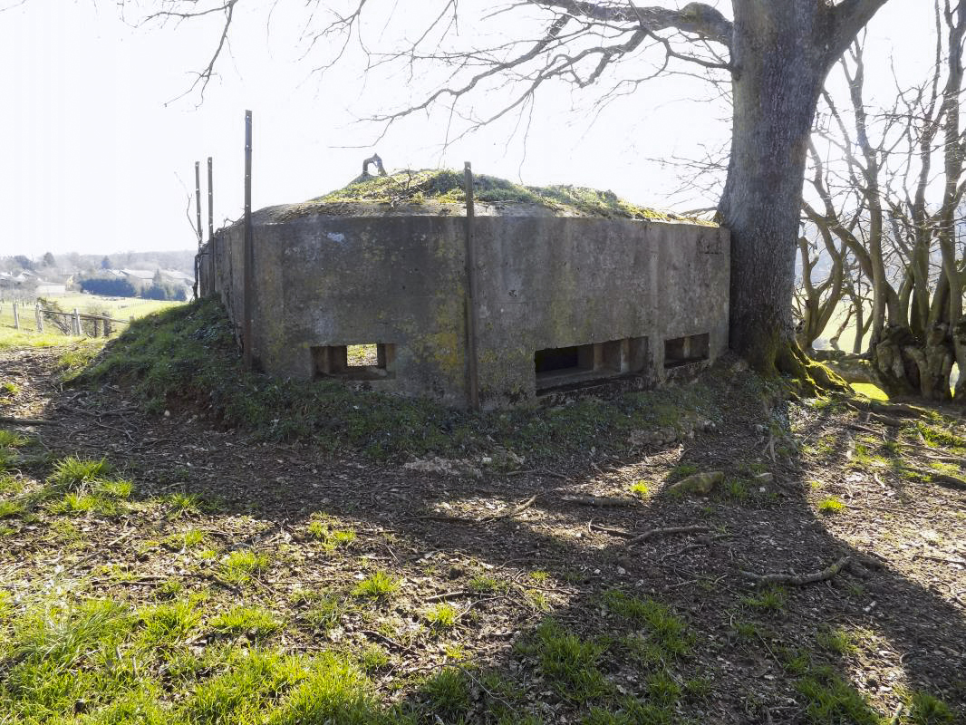 Ligne Maginot - 2B - VAUX LES MOUZON OUEST - (Blockhaus pour canon) - Faces nord et nord-ouest