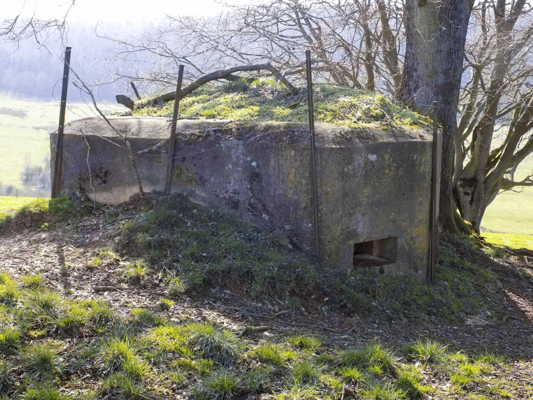 Ligne Maginot - 2B - VAUX LES MOUZON OUEST - (Blockhaus pour canon) - Face est
