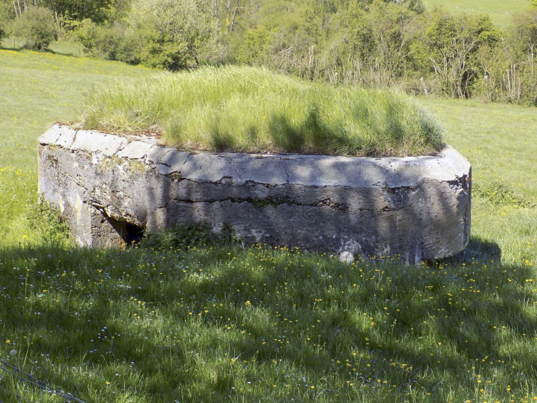 Ligne Maginot - 2C - LA CABRETTE - (Blockhaus pour canon) - L'arrière et droite