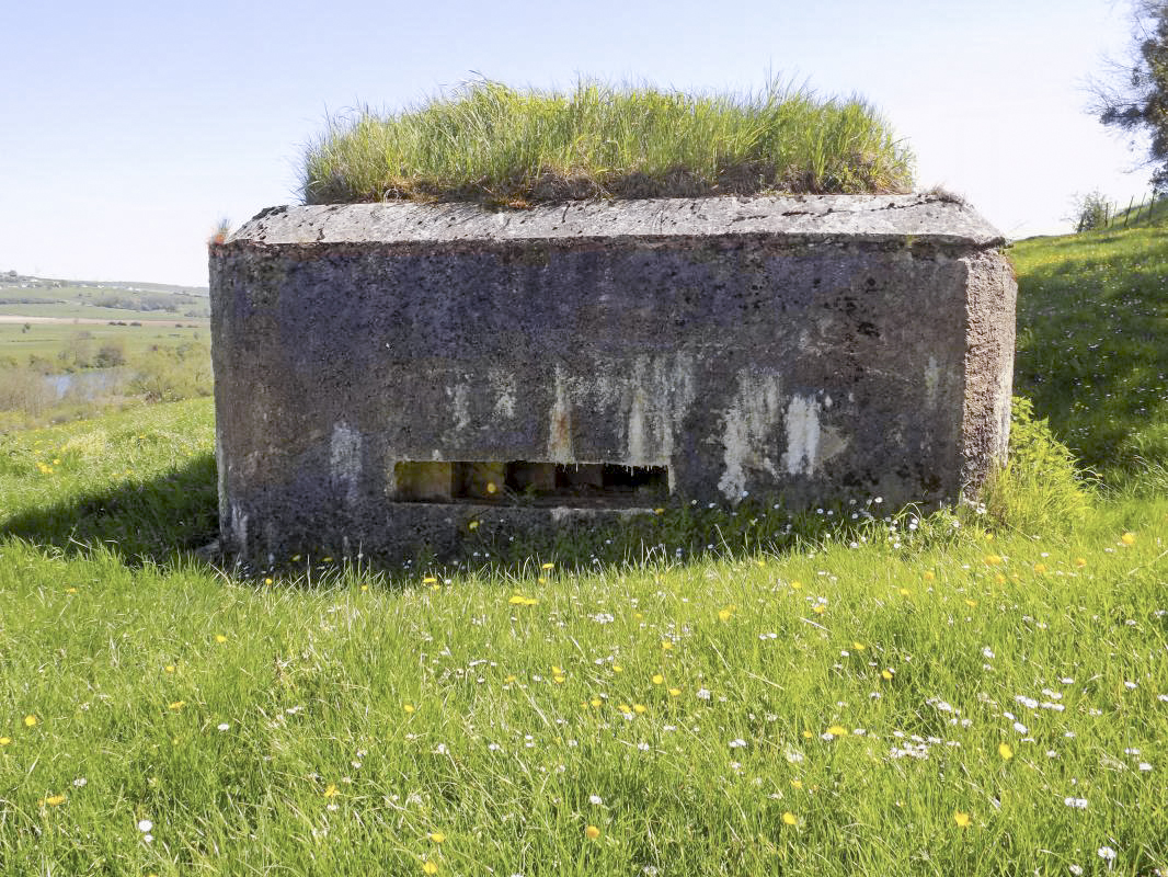 Ligne Maginot - 2C - LA CABRETTE - (Blockhaus pour canon) - Face gauche - R Tucker