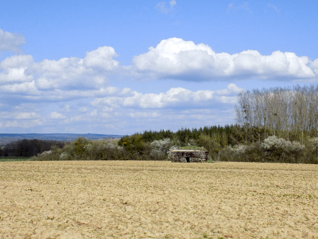 Ligne Maginot - 3C - FONTAINE ST PIERRE - (Blockhaus pour arme infanterie) - Pris du sud-est