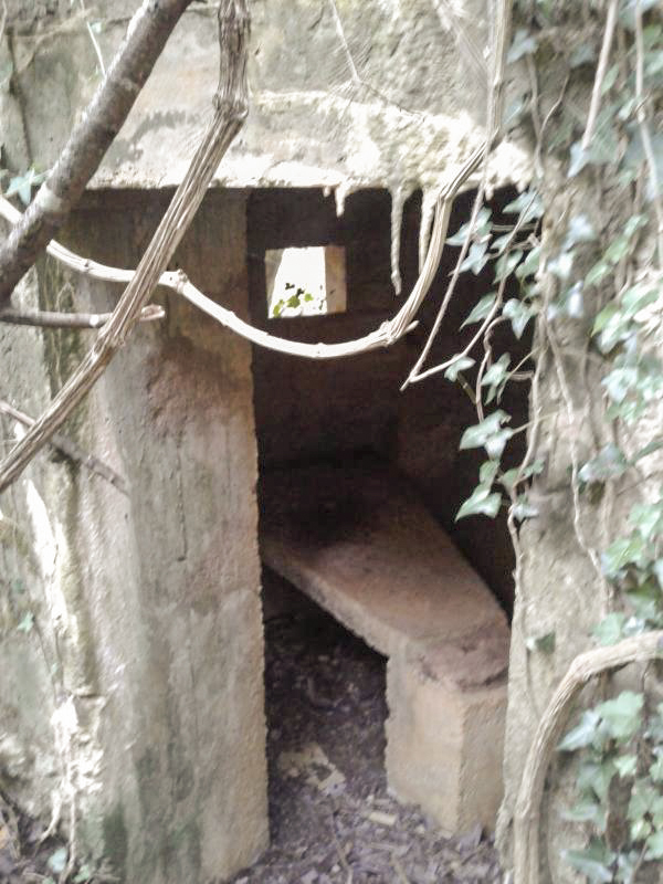 Ligne Maginot - 6B - LES NASSES EST - (Blockhaus pour arme infanterie) - Entrée du bloc et créneau pour mitrailleuse Hotchkiss de gauche.