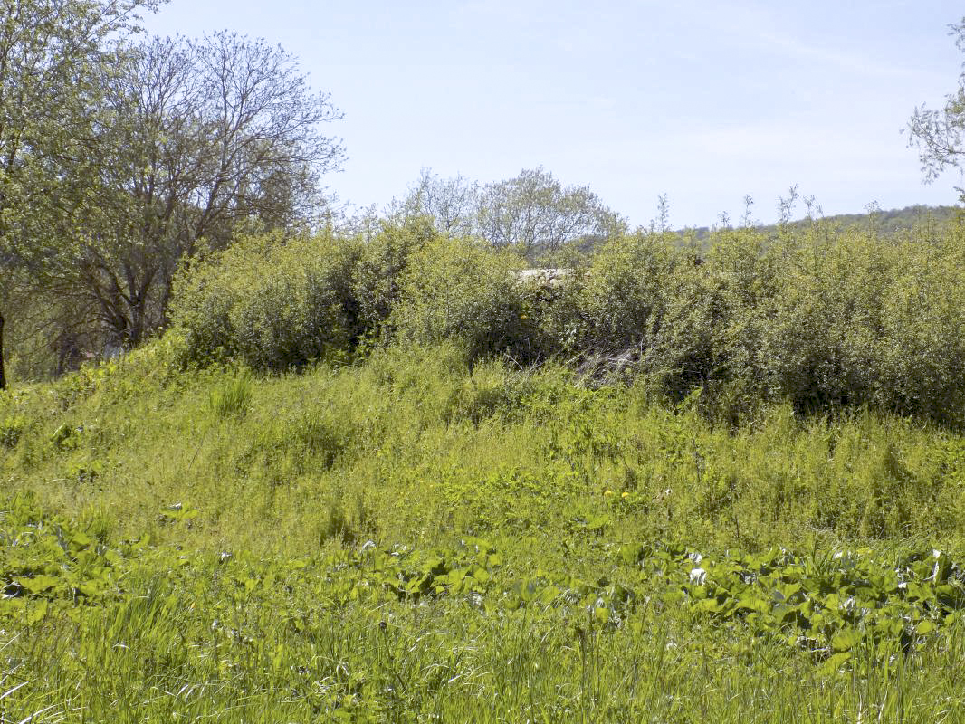 Ligne Maginot - 6C - VILLERS DEVANT MOUZON SUD - (Blockhaus pour arme infanterie) - Pris de l'est, au bord de la Meuse