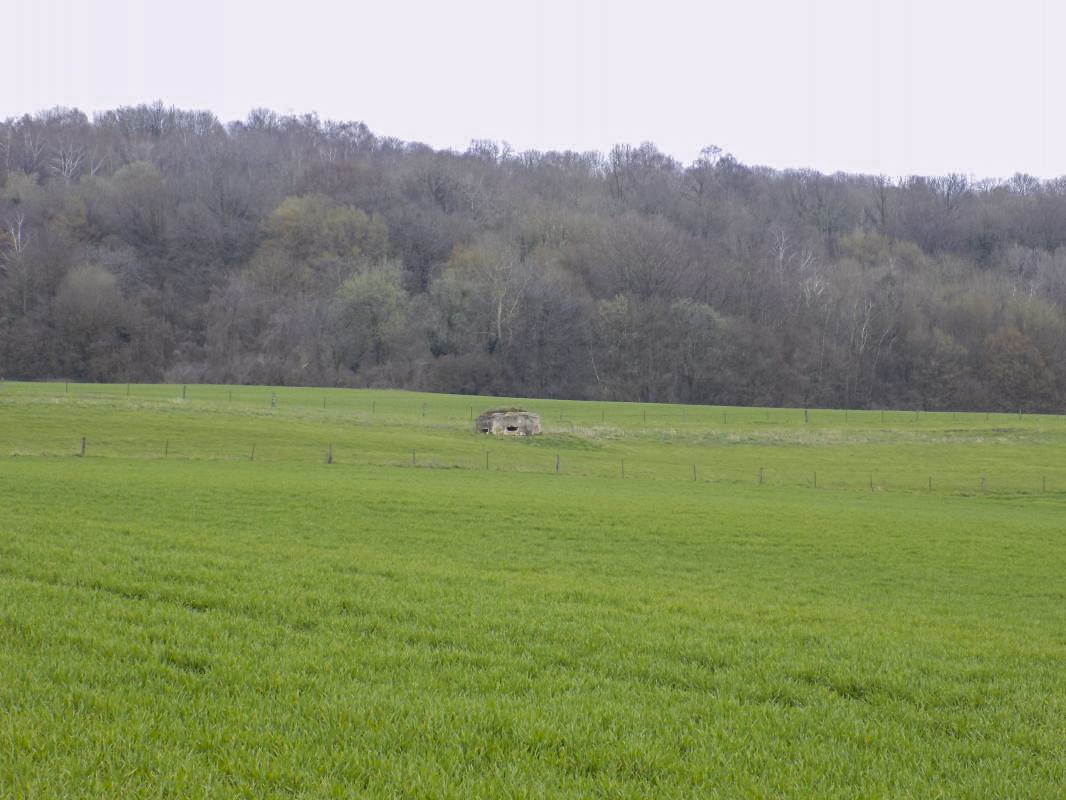 Ligne Maginot - 7B - LES NASSES OUEST - (Blockhaus pour arme infanterie) - Pris de l'ouest