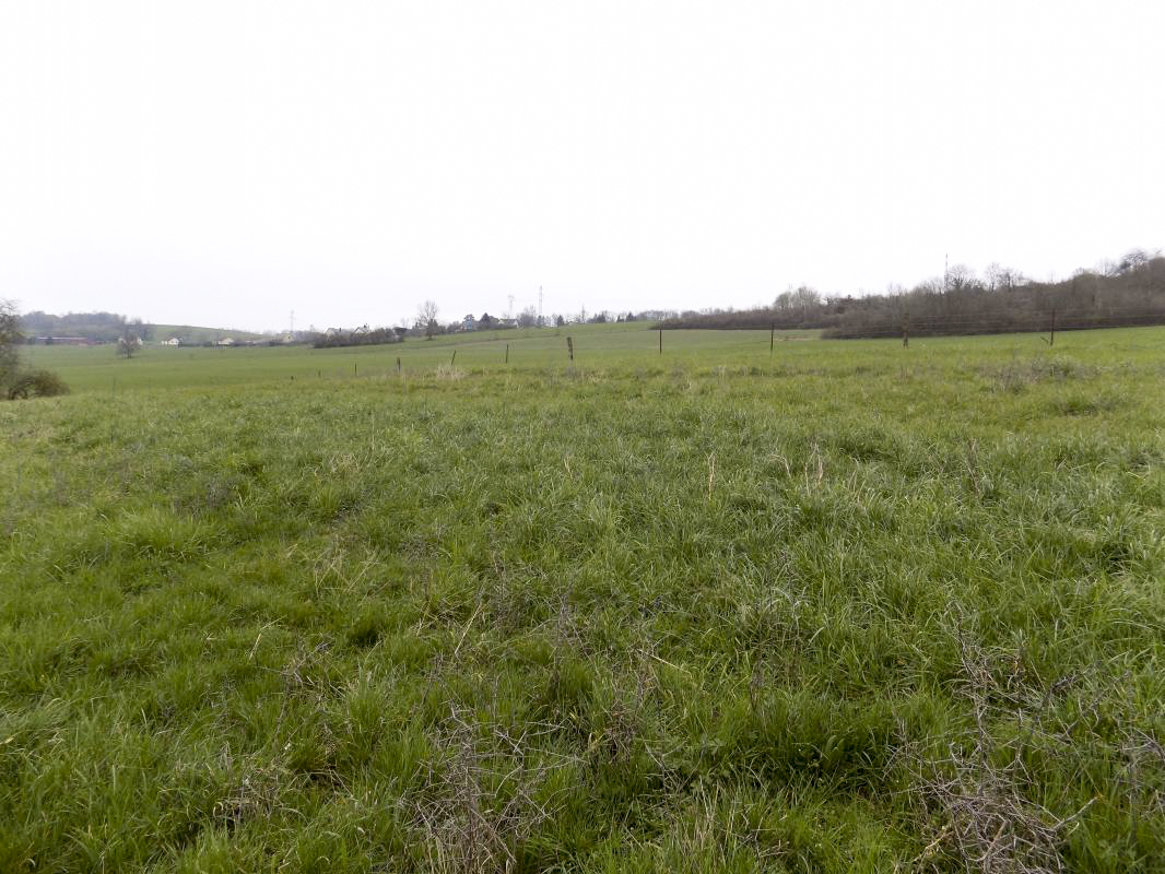 Ligne Maginot - 7B - LES NASSES OUEST - (Blockhaus pour arme infanterie) - Vue vers le nord (direction de tir FM)