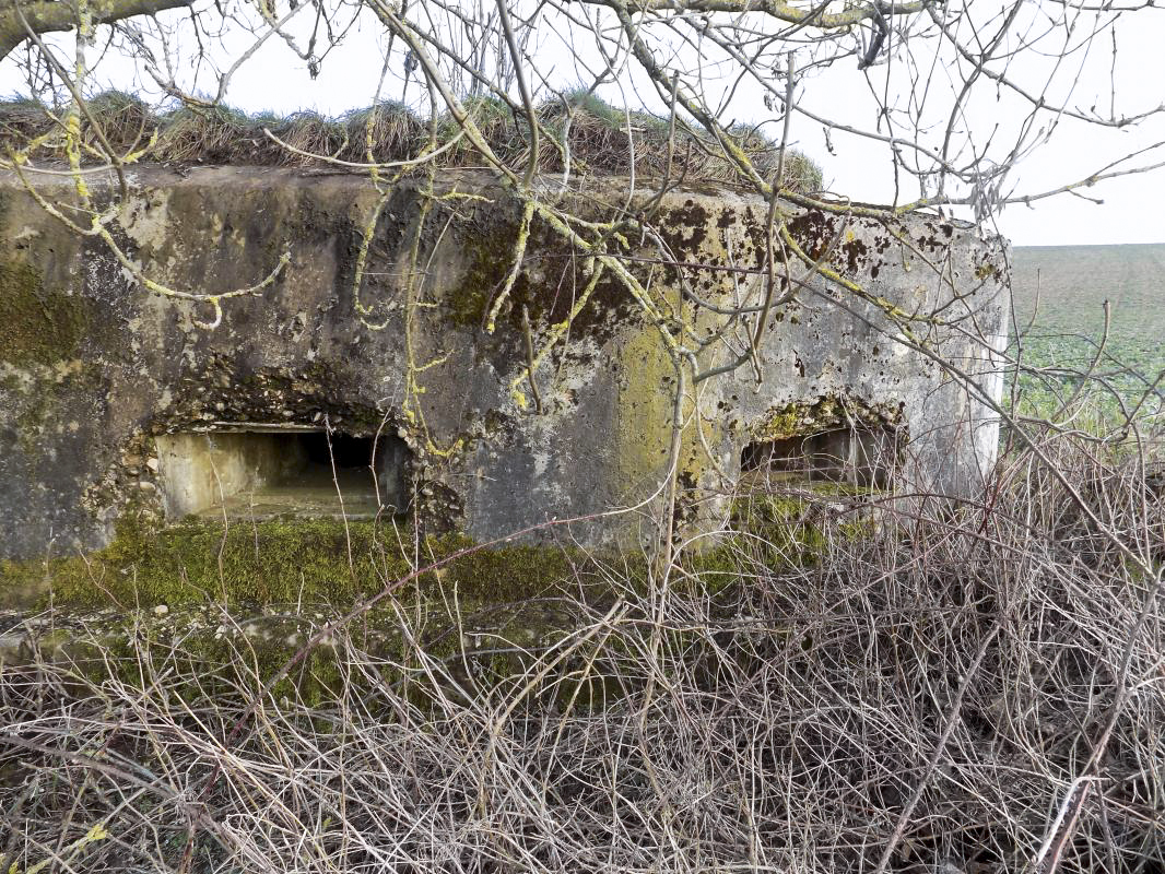 Ligne Maginot - 8A - CHATEAU BERNIER - (Blockhaus pour arme infanterie) - Face frontale