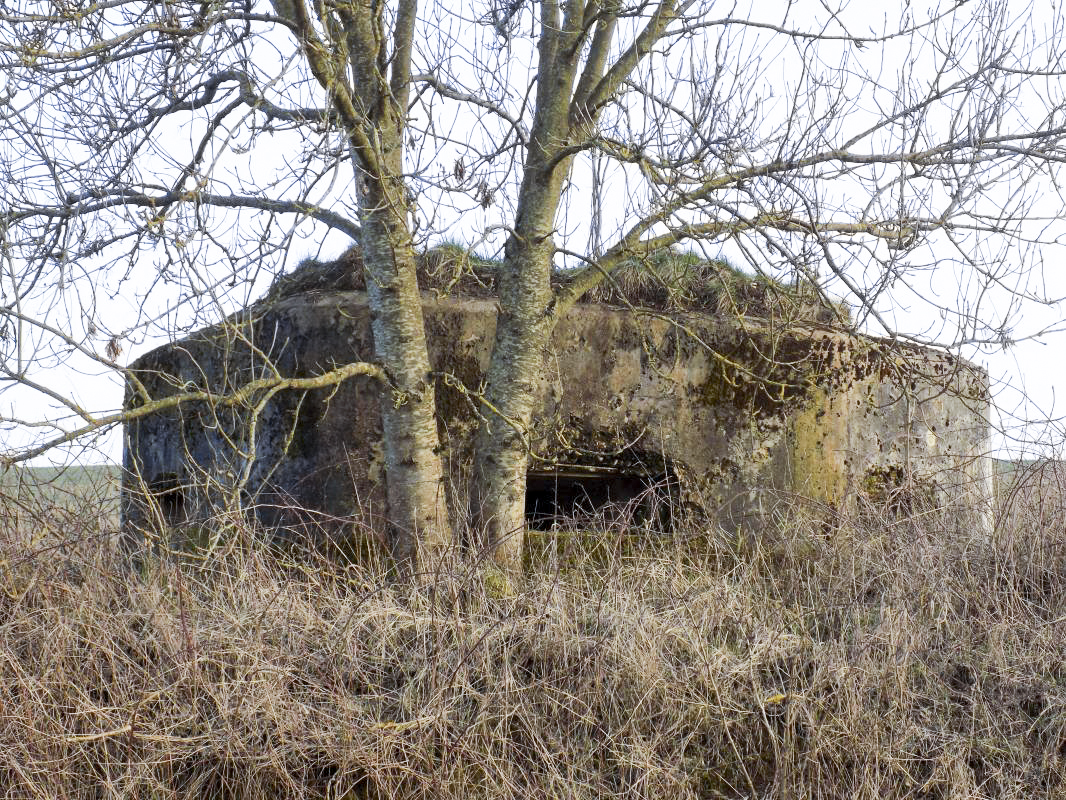 Ligne Maginot - 8A - CHATEAU BERNIER - (Blockhaus pour arme infanterie) - 