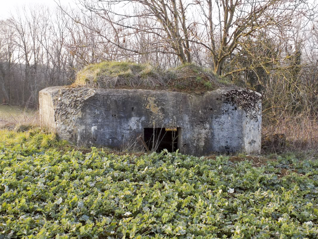 Ligne Maginot - 8A - CHATEAU BERNIER - (Blockhaus pour arme infanterie) - L'arrière - R Tucker