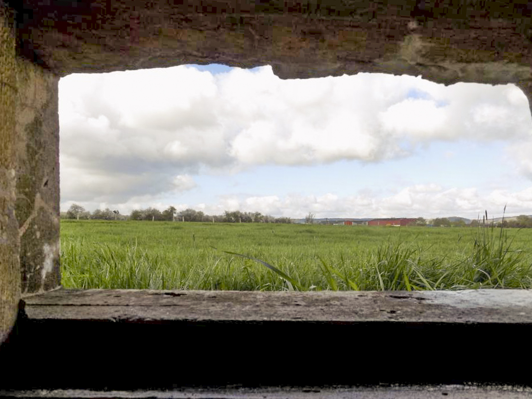 Ligne Maginot - 8B - FOCHELLE - (Blockhaus pour arme infanterie) - Créneau Hotchkiss vers le sud-ouest