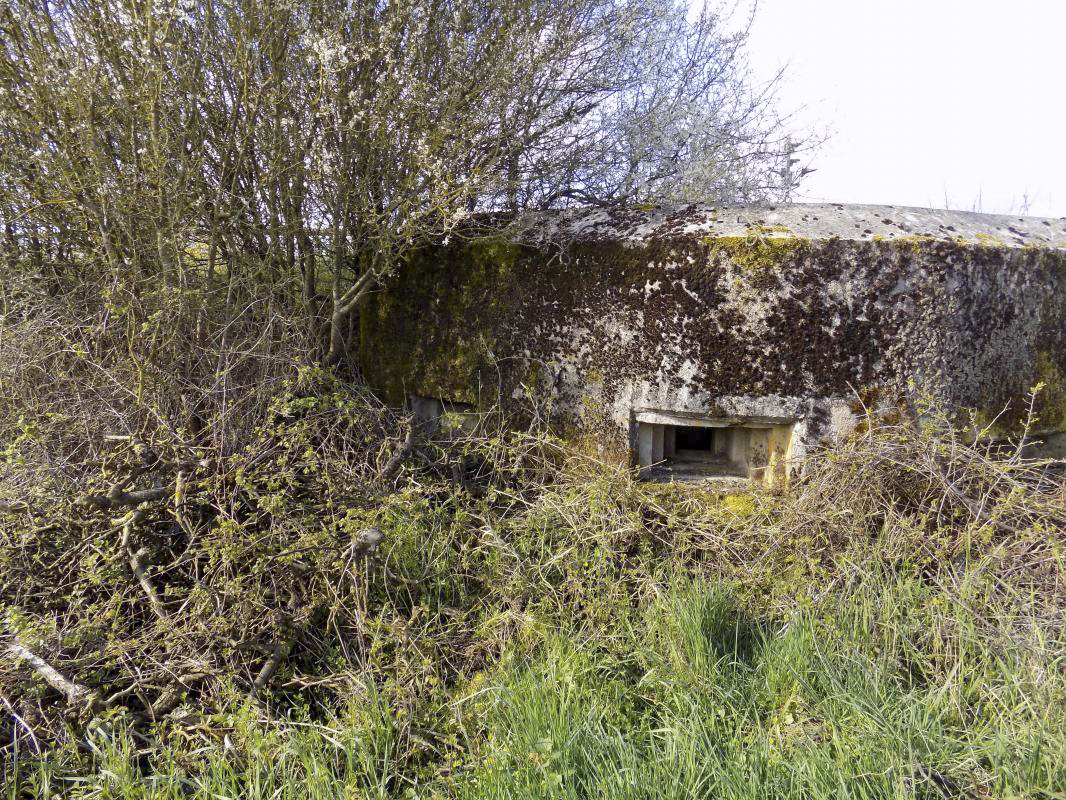 Ligne Maginot - 9C - PASSAGE à NIVEAU DE YONCK - (Blockhaus pour arme infanterie) - Faces droite et centrale