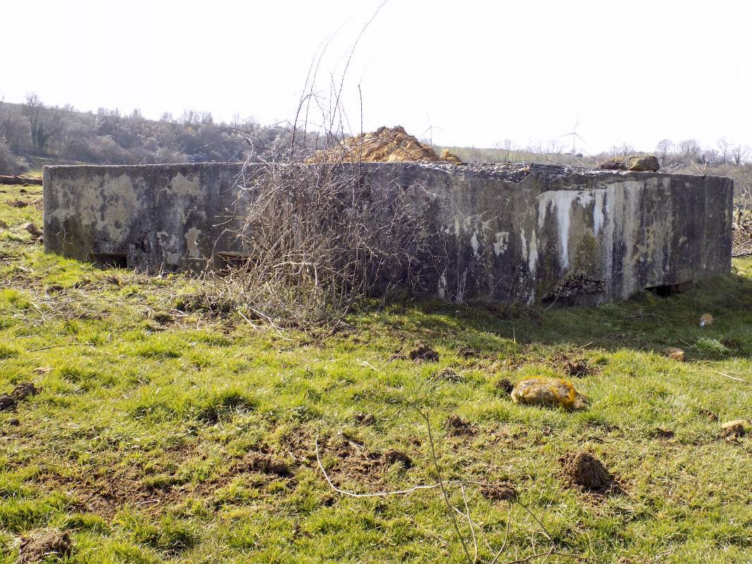 Ligne Maginot - 10A - LE CHENELET NORD - (Blockhaus pour canon) - Faces est et nord-est