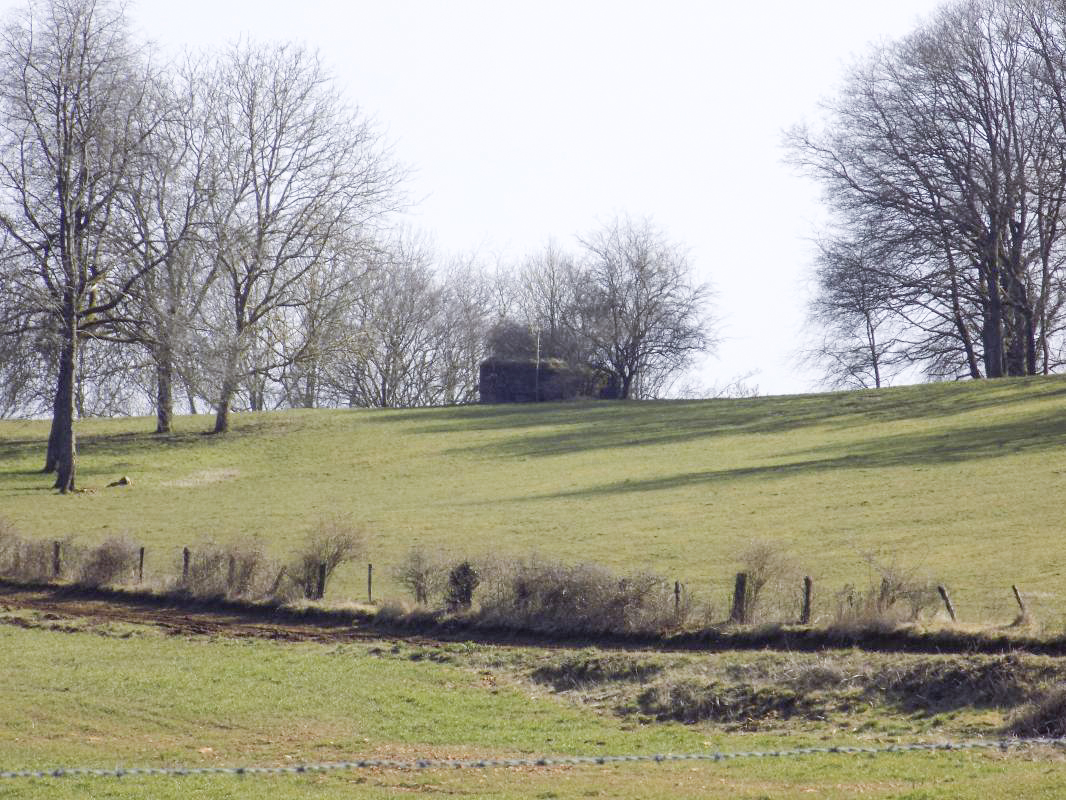 Ligne Maginot - 10A - LE CHENELET NORD - (Blockhaus pour canon) - Vue vers le blockhaus 11A