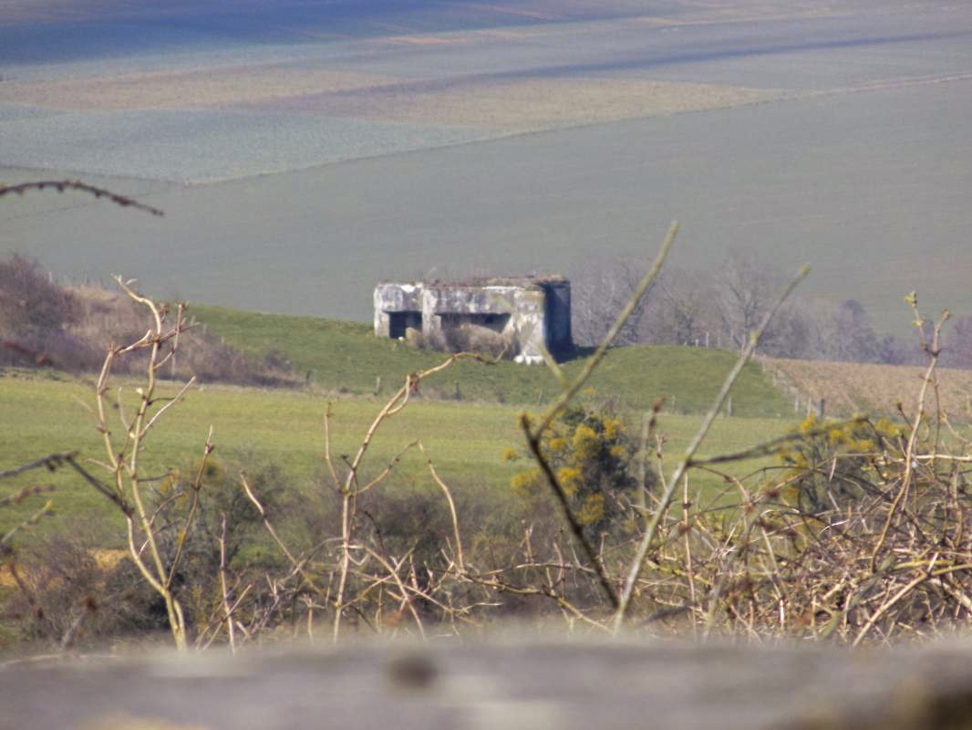 Ligne Maginot - 10A - LE CHENELET NORD - (Blockhaus pour canon) - Vue vers A101bis