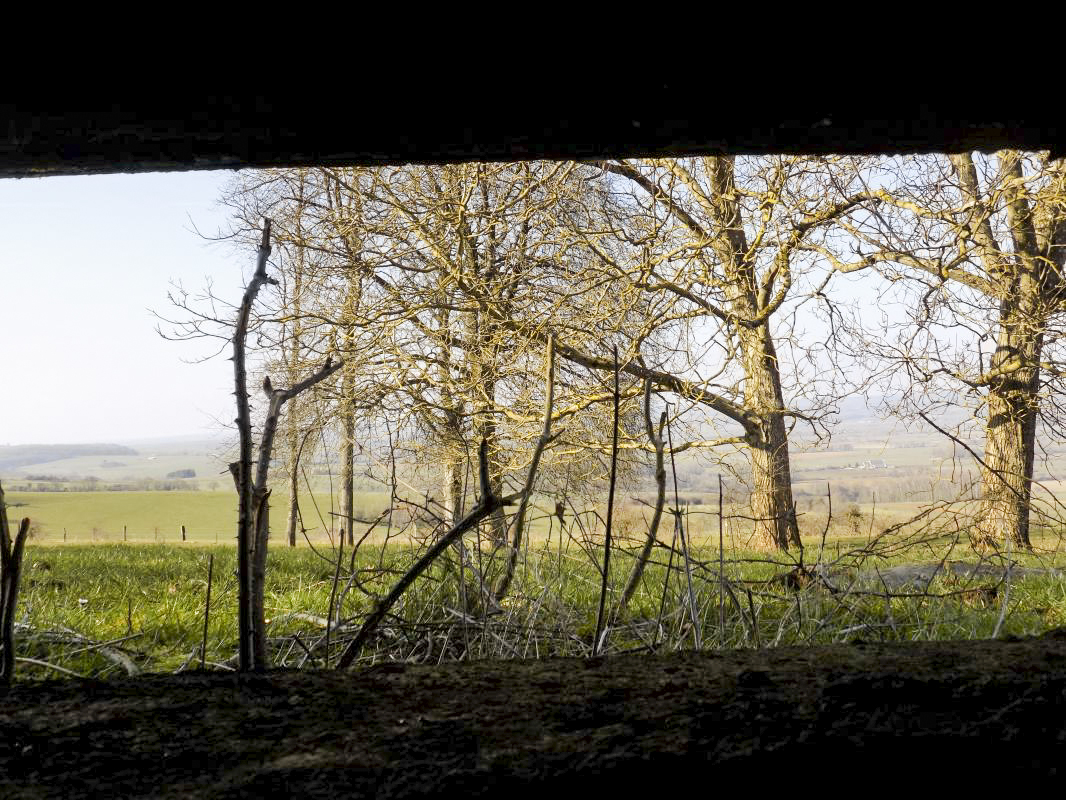 Ligne Maginot - 11A - LA BOULETTE - (Blockhaus pour canon) - Vue du créneau Hotchkiss vers le nord