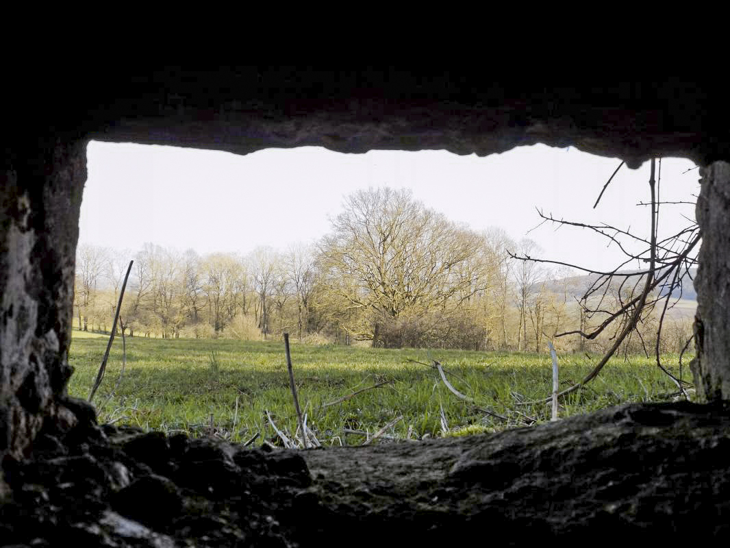 Ligne Maginot - 11A - LA BOULETTE - (Blockhaus pour canon) - Vue du créneau FM vers le sud-est