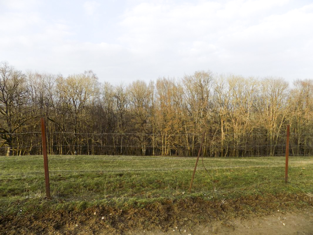 Ligne Maginot - 11B - FERME LA FOLIE - (Blockhaus pour arme infanterie) - Vue vers le nord-est