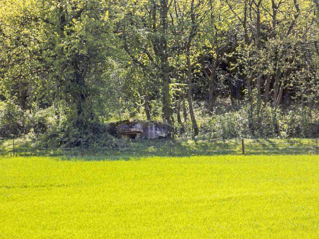 Ligne Maginot - 11C - VALMONT - (Blockhaus pour arme infanterie) - Pris du nord-est