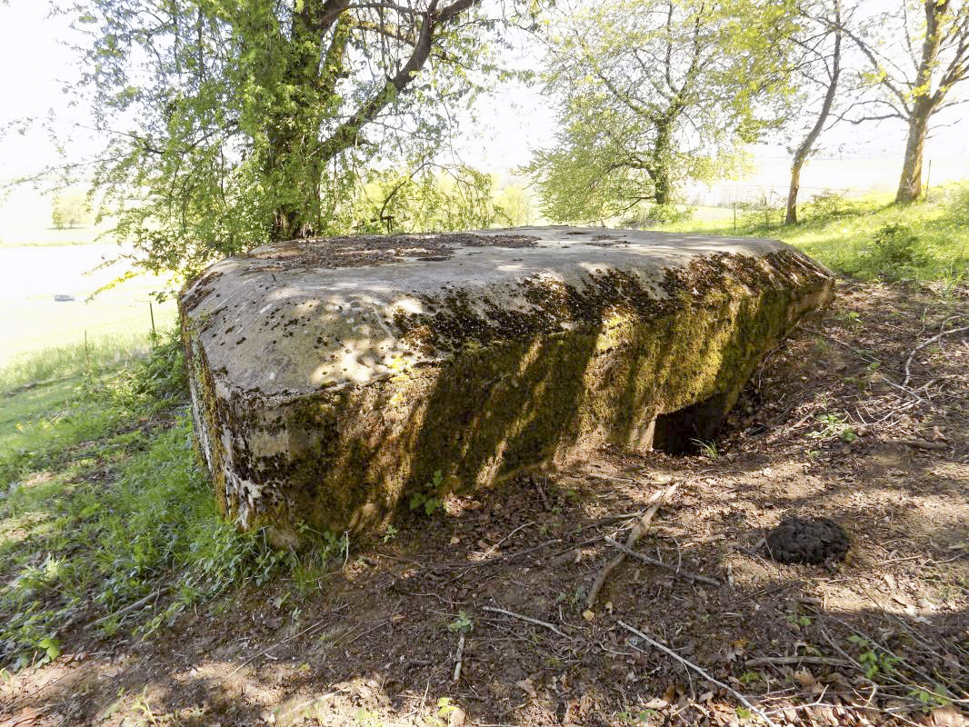 Ligne Maginot - 11C - VALMONT - (Blockhaus pour arme infanterie) - L'arrière