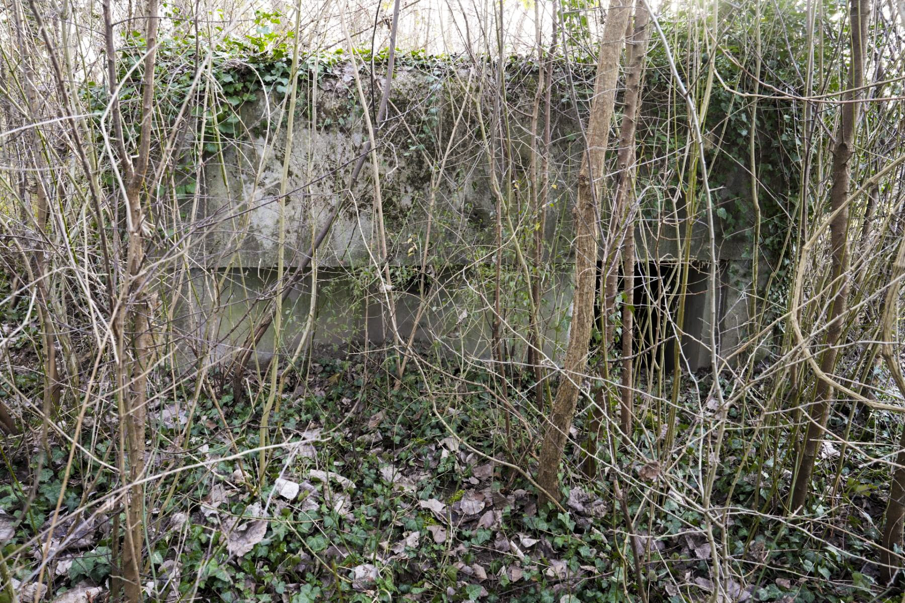 Ligne Maginot - 5 - SALMENKOPFGRUND - (Blockhaus pour arme infanterie) - Vue générale côté entrée - duomaxw