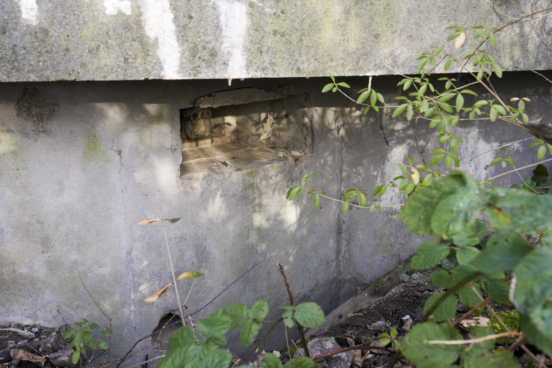 Ligne Maginot - 5 - SALMENKOPFGRUND - (Blockhaus pour arme infanterie) - Le second créneau - duomaxw