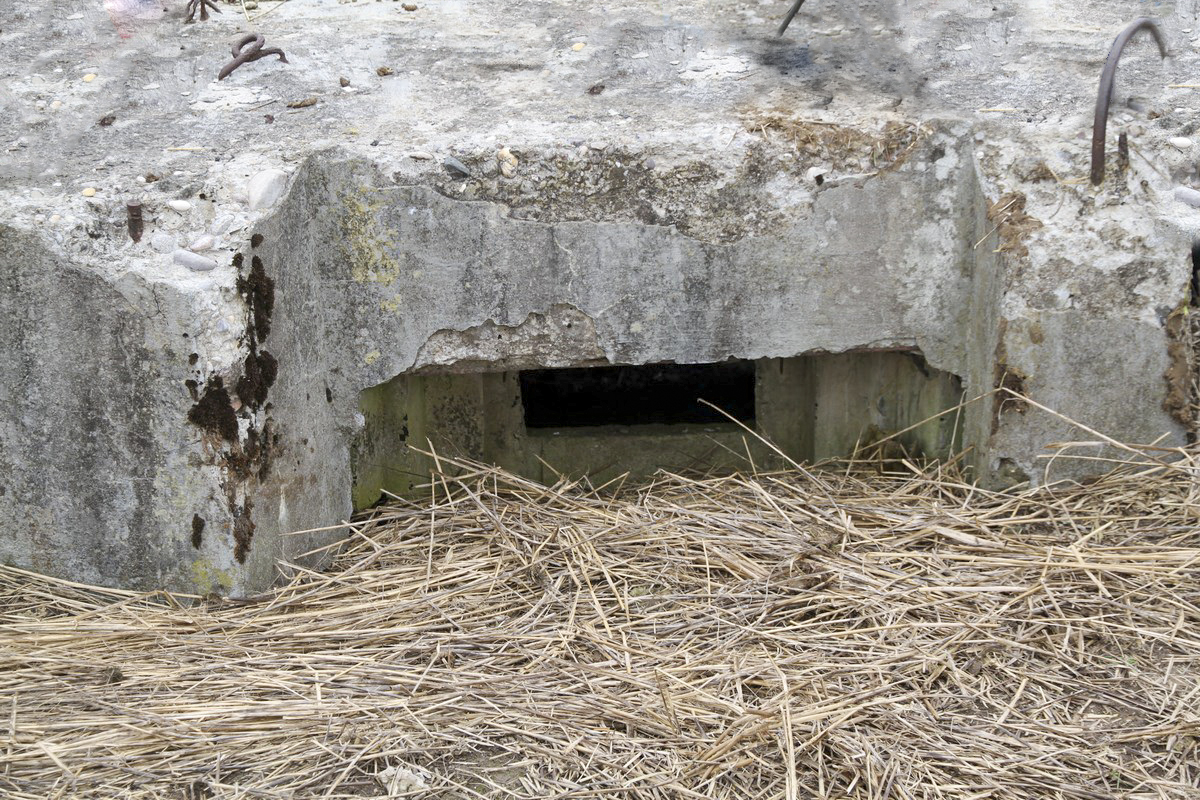 Ligne Maginot - PUTTWINKEL NORD - (Blockhaus de type indéterminé) - Le créneau