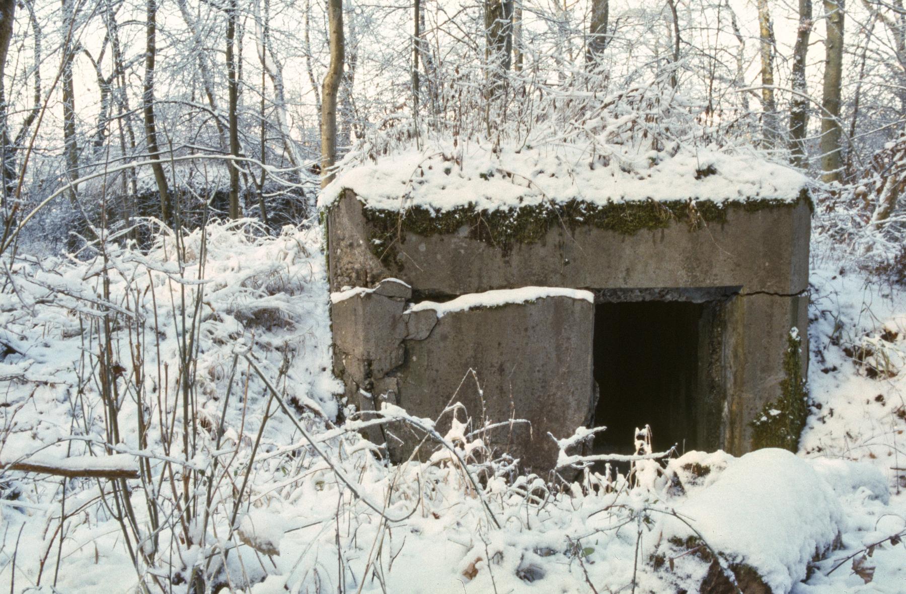 Ligne Maginot - UBERNIED 6 - (Blockhaus de type indéterminé) -  - MANSUY Michel