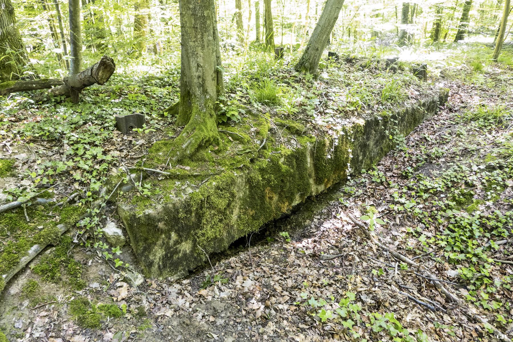 Ligne Maginot - UBERNIED 14 - (Blockhaus de type indéterminé) - 