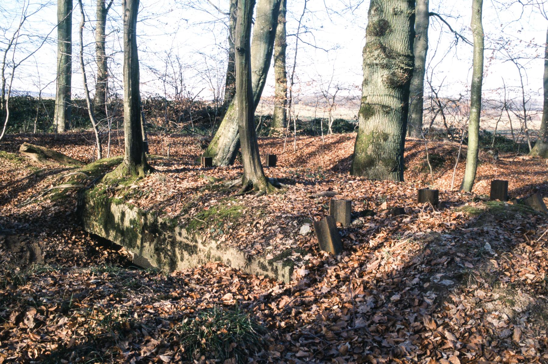 Ligne Maginot - UBERNIED 14 - (Blockhaus pour arme infanterie) -  - MANSUY Michel