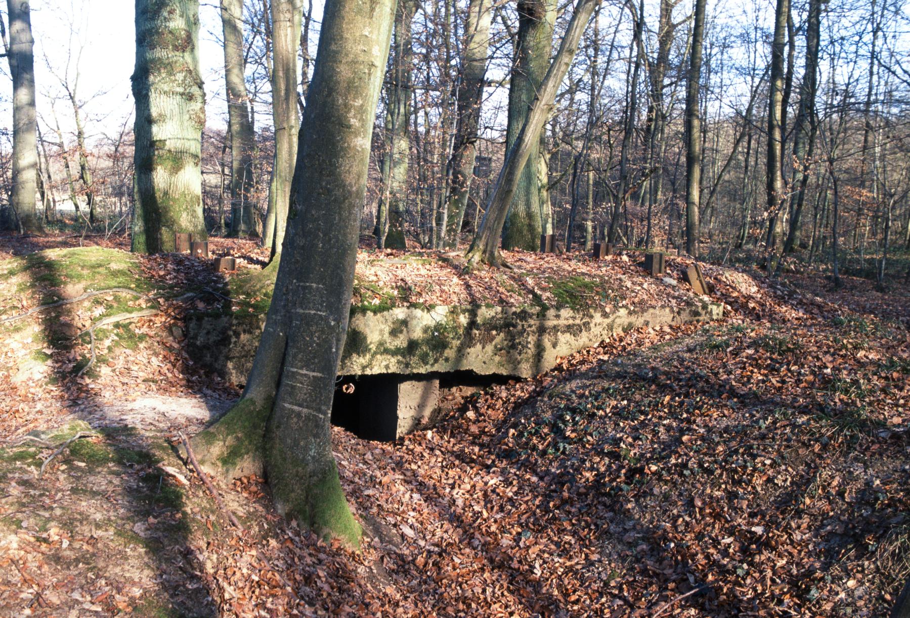 Ligne Maginot - UBERNIED 14 - (Blockhaus pour arme infanterie) -  - MANSUY Michel