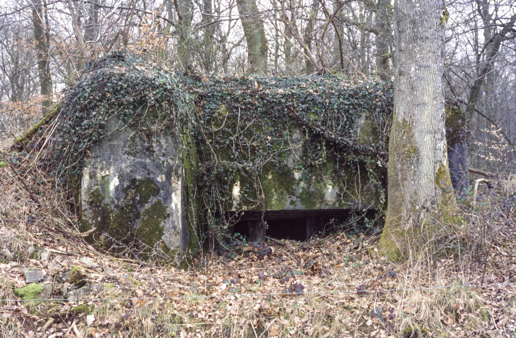 Ligne Maginot - UBERNIED 7 - (Blockhaus pour arme infanterie) -  - MANSUY Michel