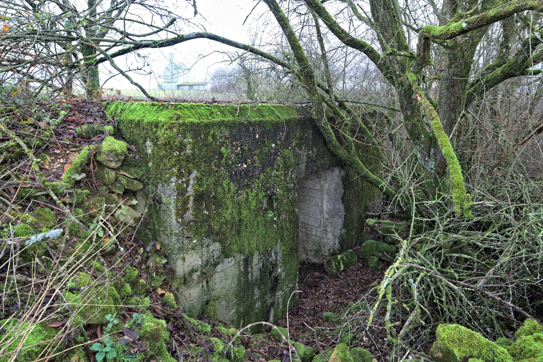 Ligne Maginot - DB220 - (Blockhaus pour canon) -  - thierry caland