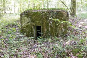 Ligne Maginot - UBERNIED 2 - (Blockhaus pour arme infanterie) - L'entrée