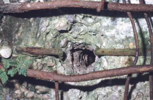 Ligne Maginot - WELSCHBRUCH NORD 1 - (Blockhaus pour arme infanterie) - Impact sur la façade