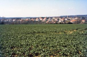 Ligne Maginot - ZIMMING CITéS - (Cité Cadres) - Le camp et la cité de Zimming
