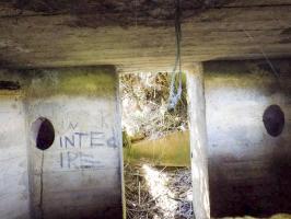 Ligne Maginot - 12C - MONT DE BRUNE NORD - (Blockhaus pour arme infanterie) - L'entrée pris du créneau centrale