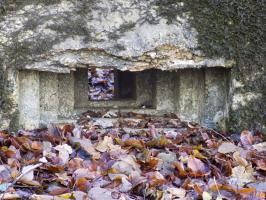 Ligne Maginot - 13A - BOIS DE BLANCHAMPAGNE EST - (Blockhaus pour arme infanterie) - Face frontale, créneau Obs/FM