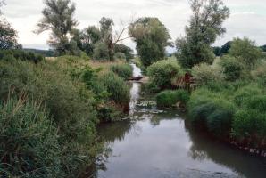 Ligne Maginot - TETING - (Inondation défensive) - 