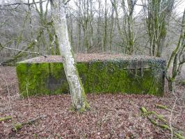 Ligne Maginot - BB357 - (Blockhaus pour arme infanterie) - La vue depuis le sud.