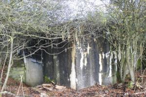 Ligne Maginot - M37B - (Blockhaus pour canon) - 