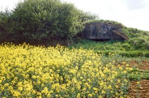 Ligne Maginot - LES CHATS - (PC) - 