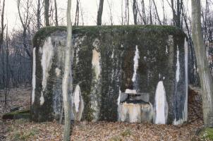 Ligne Maginot - HELLENWALD 7 - (Central téléphonique d'observation) - 