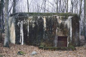 Ligne Maginot - HELLENWALD 7 - (Central téléphonique d'observation) - L'entrée