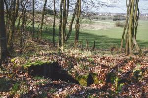 Ligne Maginot - PFAFFENBUSCH 2BIS - (Blockhaus de type indéterminé) - 