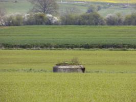 Ligne Maginot - 14C - FOND D'YVAUX OUEST - (Blockhaus pour arme infanterie) - Vue du créneau Hotchkiss droite vers le nord-est, 15-C