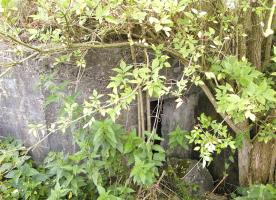 Ligne Maginot - 23A - FORGES DE BREVILLY - (Blockhaus pour arme infanterie) - 