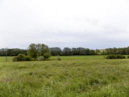 Ligne Maginot - 28 - FOND DE TURGEON - (Blockhaus pour arme infanterie) - Vue vers le sud-est, direction de tir face droite