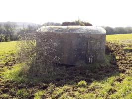 Ligne Maginot - 29B - TRUC DES CHANVRES - (Blockhaus pour canon) - Face gauche
