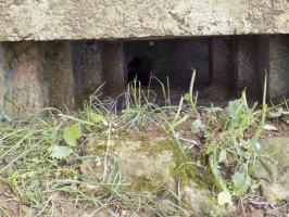 Ligne Maginot - 29C - EUILLY NORD - (Blockhaus pour arme infanterie) - Créneau FM/Obs, face droite