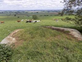 Ligne Maginot - 29C - EUILLY NORD - (Blockhaus pour arme infanterie) - Vue vers le nord-est