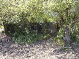 Ligne Maginot - 31TER - FOND DE LA CHAUSSEE EST - (Blockhaus pour canon) - Face frontale